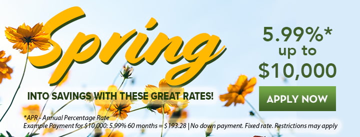Spring Savings Loan