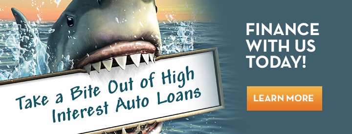 liberty savings federal credit union credit card login liberty savings federal credit union credit card login